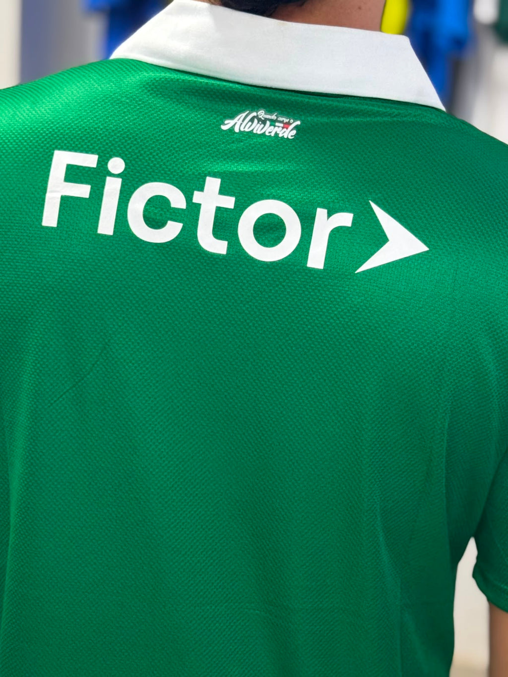 Palmeiras Titular 26/27