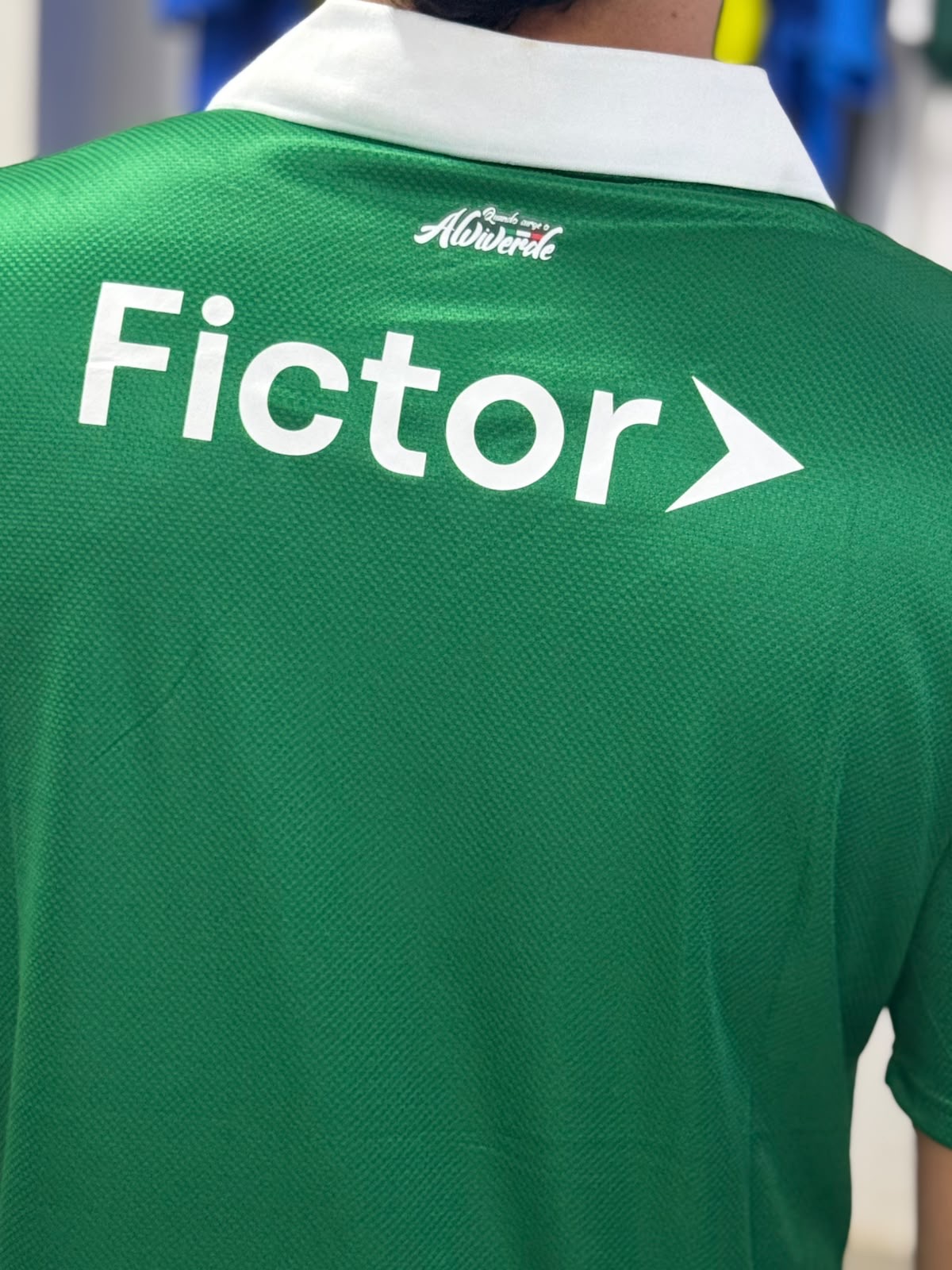 Palmeiras Titular 26/27