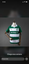 Palmeiras bet torcedor
